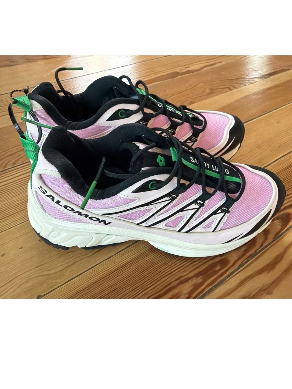 Salomon XT 6 Expanse x Sandy Liang Low Cradle Pink Comme 30.0cm USW6.5 NWOB Gree